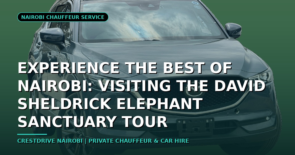 Experience the Best of Nairobi: Visiting the David Sheldrick Elephant Sanctuary Tour